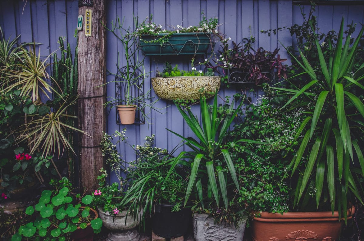 How a Vertical Garden Design Transform Your Home into a Mini Paradise