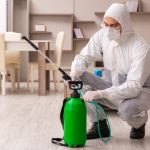 Pest Control in Buffalo Grove