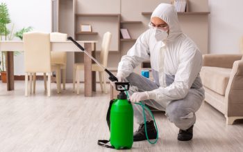 Pest Control in Buffalo Grove