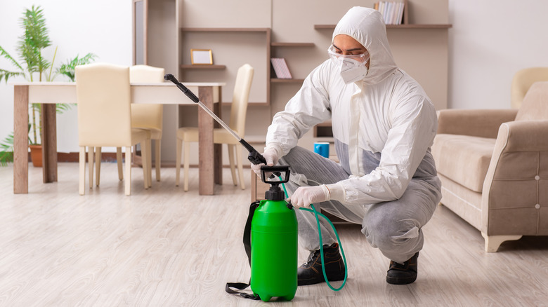 Pest Control in Buffalo Grove