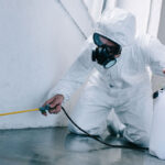 Pointe Pest Control