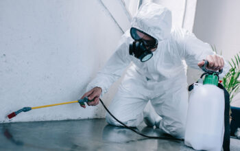Pointe Pest Control
