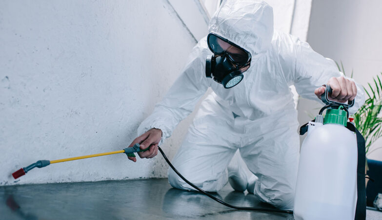 Pointe Pest Control
