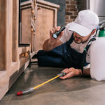 best pest control