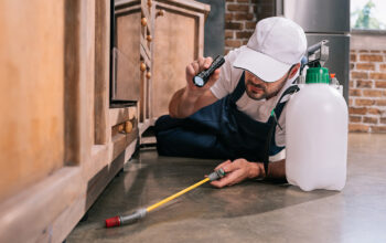 best pest control