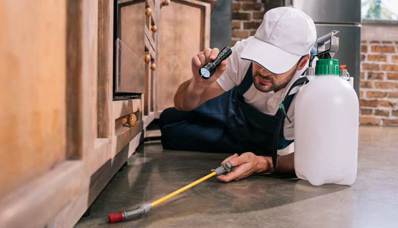 best pest control