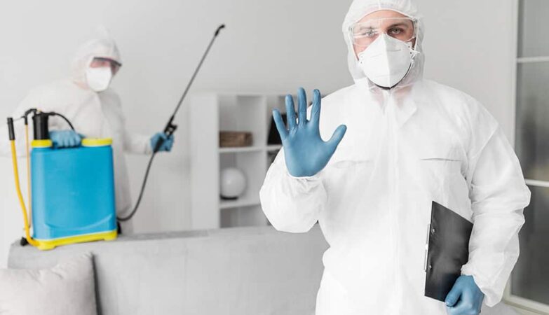 Professional Pest Prevention