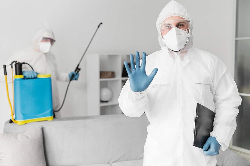 Why Frisco Homeowners Choose Professional Pest Prevention